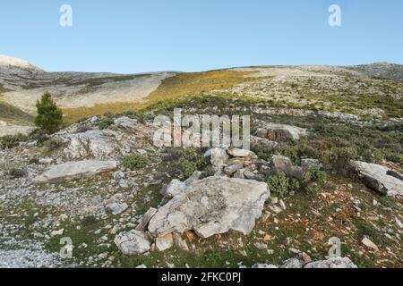 Sierrania de Ronda, Hochkalkgebirge, Andalusien, Malaga, Südspanien. Stockfoto