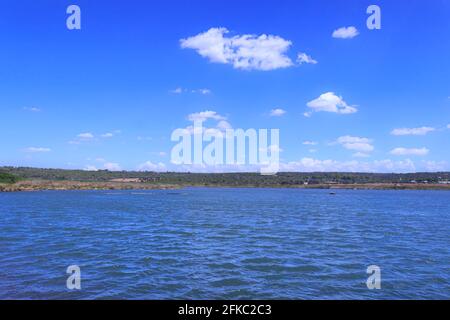 Der Regionale Naturpark „Litorale di Ugento“ in Apulien verfügt über Sandstrände, Feuchtgebiete hinter den Dünen, Sümpfe, Wälder und mediterrane Macchia. Stockfoto