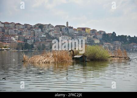 Landschaft mit einem hölzernen Gänsehaus am Ufer des Orestiada-Sees in Kastoria, Westmakedonien, Griechenland. Stockfoto