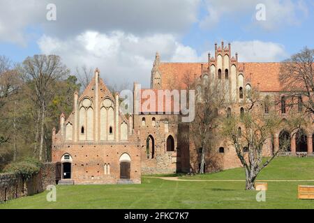 façade Süd mit abgestuften Giebeln und spitzen Bögen von Chorin Kloster im Land Brandenburg Stockfoto