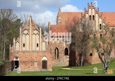 façade Süd mit abgestuften Giebeln und spitzen Bögen von Chorin Kloster im Land Brandenburg Stockfoto