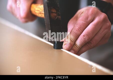 Meistermann hämmert einen Nagel in Möbel. Reparieren, arbeiten. Mit Kopierraum Stockfoto