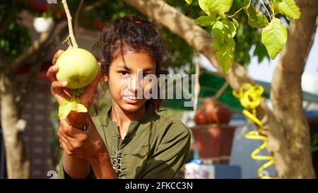 30. April 2021, Jaipur, Rajasthan, Indien. Mädchen, das Bilva oder Aegle Marmelos für Saft hält. Sommergetränk von Bael ist Ergänzung von Vitamin C. Stockfoto