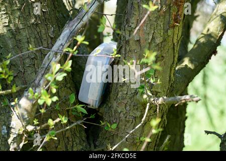 Geocaching-Versteck mit Cache in einem Feld gefunden In einem Baum im Herrenkrugpark bei Magdeburg in Deutschland Stockfoto