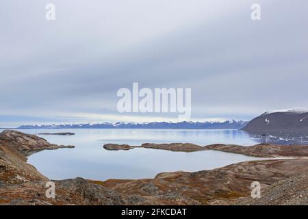 Blick über Hornbaekpollen / Hornbækpollen, kleine Bucht bei Liefdefjorden, östlich von Erikbreen, Haakon VII Land im Sommer, Spitzbergen, Svalbard, Norwegen Stockfoto