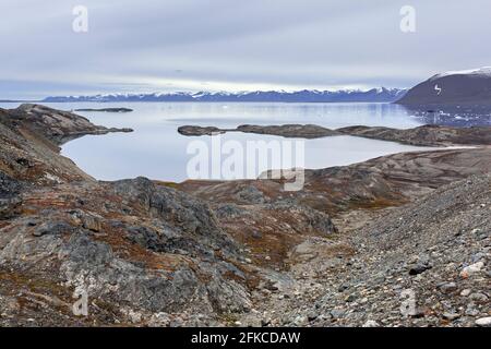 Blick über Hornbaekpollen / Hornbækpollen, kleine Bucht bei Liefdefjorden, östlich von Erikbreen, Haakon VII Land im Sommer, Spitzbergen, Svalbard, Norwegen Stockfoto