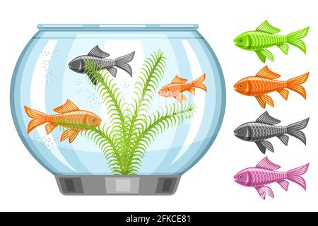 Vektor-Illustration von Fish Tank, Aquarium mit schwimmenden Goldfischen und Algen, Satz von ausgeschnittenen bunten Aquarienfischen auf weißem Hintergrund. Stock Vektor