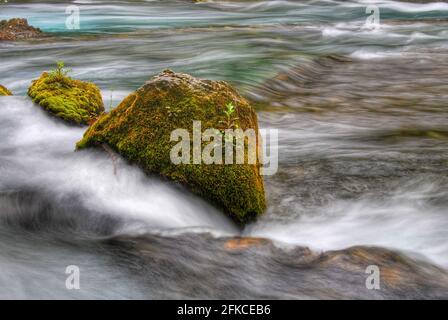 Moos bedeckter Felsbrocken in der Provence Stockfoto