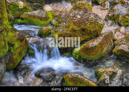 Fluss Sorgue mit Felsbrocken in der Provence Stockfoto