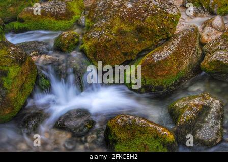 Fluss Sorgue mit Felsbrocken in Fontaine-de-Vaucluse Stockfoto