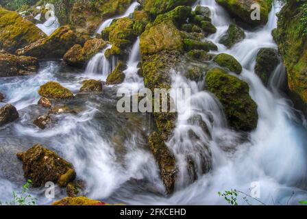 Fluss Sorgue mit Felsbrocken in Fontaine-de-Vaucluse Stockfoto