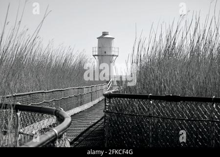 Newport Wetlands Nature Reserve, zurückgewonnenes Industriegebiet, das 2000 gegründet wurde, um Verluste an Lebensraum für Wildtiere zu verringern, als das Cardiff Bay Barrage gebaut wurde Stockfoto