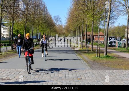 Radfahrer auf einem eigens dafür vorgesehenen städtischen Radweg in Münster, Münster, Deutschland Stockfoto