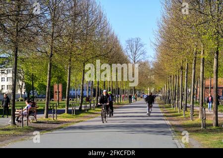 Radfahrer auf einem eigens dafür vorgesehenen städtischen Radweg in Münster, Münster, Deutschland Stockfoto