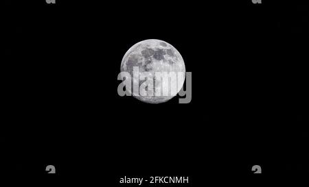 Supermond - rosa Mond am 25. April 2021 Stockfoto
