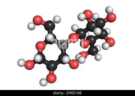 Laktose-Milch-Zucker Disaccharid-Molekül 3D rendern chemische Struktur Stockfoto