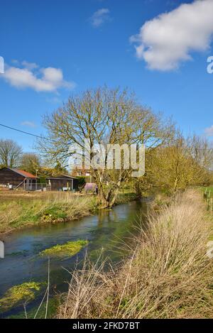 Der Fluss Tarrant in der Nähe von Tarrant Monkton, Dorset. Der Fluss ist hoch, nachdem die letzten starken und anhaltenden Regen. Stockfoto