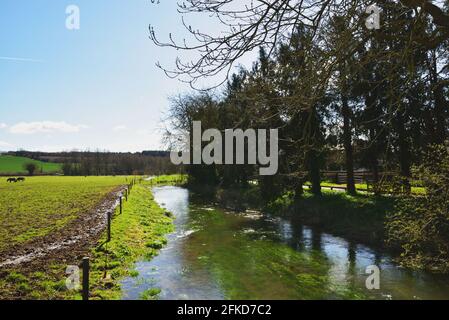 Der Fluss Tarrant in der Nähe von Tarrant Monkton, Dorset. Der Fluss ist hoch, nachdem die letzten starken und anhaltenden Regen. Stockfoto