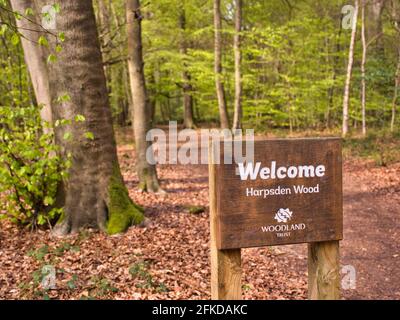 Sign Post, Cempsden Wood, Henley-on-Thames, Oxfordshire, England, GB, GB. Stockfoto