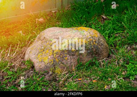 Im Gras liegt ein großer, mit Moos bedeckter Stein. Ein riesiger Felsbrocken, der mit Moos überwuchert wurde, im Hinterhof Stockfoto