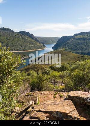 Blick auf den Salto del Gitano in Monfrague vom Gemio Hügel im Frühjahr Stockfoto