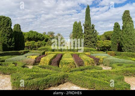 Schöner grüner Stadtpark am Morgen. Valencia, Spanien Stockfoto