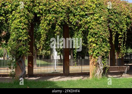 Brunnen, Bank und Kletterpflanze in einem schönen grünen Stadtpark. Valencia, Spanien Stockfoto