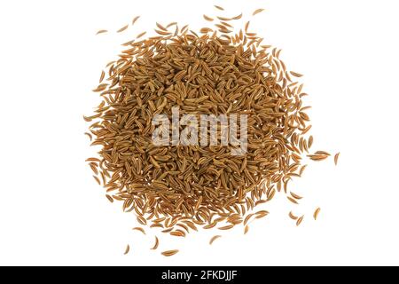 Nahaufnahme von getrockneten aromatischen Kräutern Kümmel Samen Stockfoto