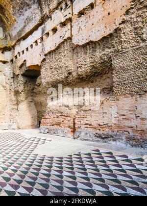 Mosaikboden, Ruinen der Caracalla-Thermen (Terme di Caracalla), Thermae Antoninianae , eines der wichtigsten Bäder Roms zur Zeit der Stockfoto