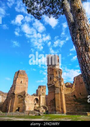 Die Ruinen der Caracalla-Thermen, die Antoninianae-Thermen, eine der bedeutendsten Thermen Roms zur Zeit des Römischen Reiches, Stockfoto