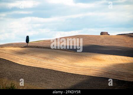 In Asciano - - Italien - am 2020. august - Landschaft des Val d'Orcia im Sommer, Toskana Stockfoto