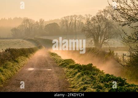 Avon Valley, Fordingbridge, New Forest, Hampshire, 1. Mai 2021, Wetter in Großbritannien: Nach dem frostigsten April, den es je gegeben hat, beginnt der Mai mit einem weiteren frostigen und nebligen Morgen. Die Temperaturen tauchten über Nacht auf und gaben bei Sonnenaufgang einen Bodenfrost. Kredit: Paul Biggins/Alamy Live Nachrichten Stockfoto