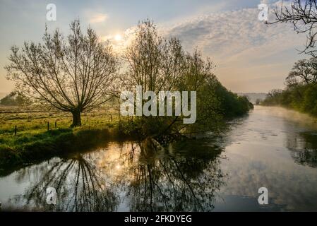 Avon Valley, Fordingbridge, New Forest, Hampshire, 1. Mai 2021, Wetter in Großbritannien: Nach dem frostigsten April, den es je gegeben hat, beginnt der Mai mit einem weiteren frostigen und nebligen Morgen. Die Temperaturen tauchten über Nacht auf und gaben bei Sonnenaufgang einen Bodenfrost. Kredit: Paul Biggins/Alamy Live Nachrichten Stockfoto