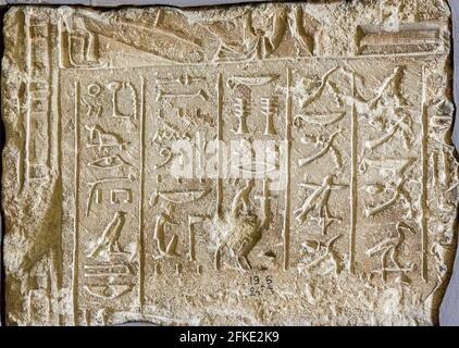 Kairo, Ägyptisches Museum, Reliefs von Steward Horemheb, New Kingdom, aus Saqqara. Stockfoto