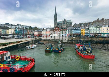 Cobh, OR Cove, County Cork, Republik Irland. Irland. Blick über den Hafen zur St. Colman's Cathedral. Stockfoto