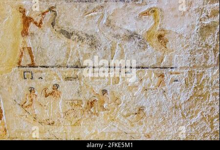 Ägypten, Guizeh, Grab der Königin Meresankh III., Enkelin von Kheops und Ehefrau von Khephren. Hauptraum, Ostwand, Geflügel und Barken. Stockfoto