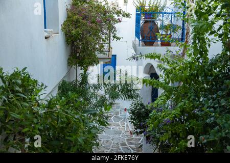 Enge Straße der Altstadt. Traditionelle Architektur und ein Steinpfad mit weißen Fugen. Wunderschöne mediterrane Vegetation. Lefkes, Paros I. Stockfoto