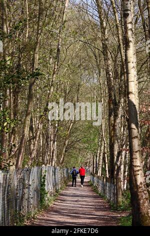 Das junge Paar läuft auf einem von Bäumen gesäumten Fußweg Stockfoto