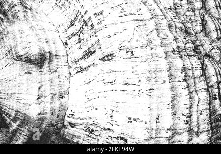 Verzweifelte Overlay-Textur der Nahaufnahme Muschelpanzerung. Grunge Hintergrund. Abstrakte Halbton-Vektor-Illustration Stock Vektor