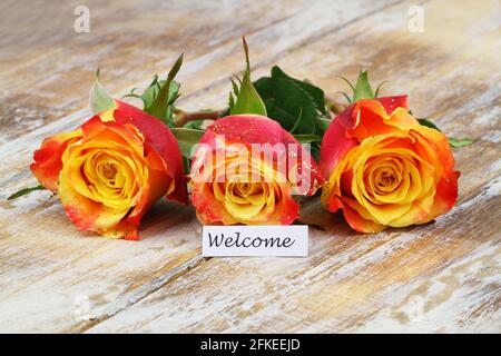 Willkommenskarte mit drei bunten Rosen, die mit Glitzer bestreut sind Rustikale Holzoberfläche Stockfoto