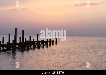 Sonnenaufgang auf dem Meer. Der Himmel ist in Rosa-Tönen gehalten. Holzstapel von zerstörten Pier ragen aus dem Wasser. Am frühen Morgen beruhigt sich die Sonne Stockfoto