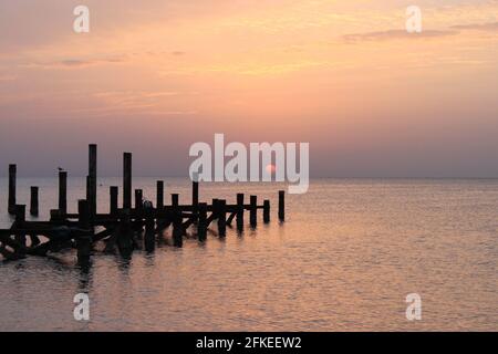Sonnenaufgang auf dem Meer. Der Himmel ist in Rosa-Tönen gehalten. Holzstapel von zerstörten Pier ragen aus dem Wasser. Am frühen Morgen beruhigt sich die Sonne Stockfoto