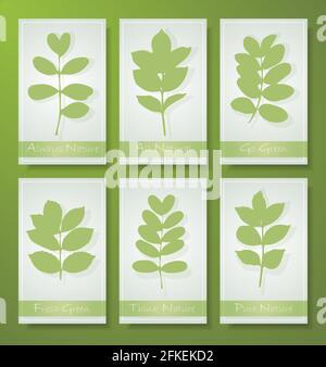 Minimale botanische Hintergründe in grünen Farben mit Formen von Blättern. Blumendesign modischen Stil Satz von Fahnen für Design. Vektor eps 10 Stock Vektor