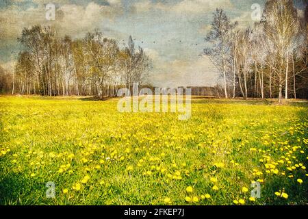 ZEITGENÖSSISCHE KUNST: Frühling in den Mauren (Loisach Moor nr. Benediktbeuern, Bayern, Deutschland) Stockfoto