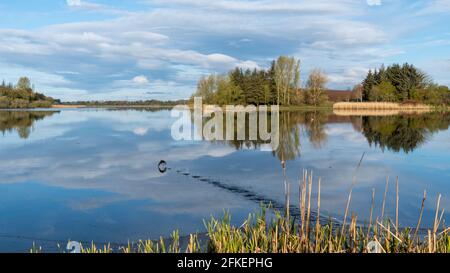 Forfar Loch Angus Schottland an einem hellen, frostigen Morgen Stockfoto