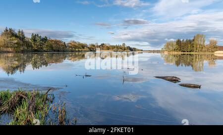 Forfar Loch Angus Schottland an einem hellen, frostigen Morgen Stockfoto