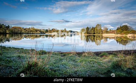 Forfar Loch Angus Schottland an einem hellen, frostigen Morgen Stockfoto