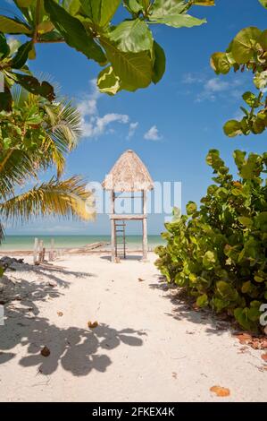 Ein rustikaler hölzerner Rettungsschwimmer-Turm an einem tropischen Strand mit weißem Sand Holbox Island in Mexiko. Im Hintergrund umgeben von Bäumen und dem Meer Stockfoto