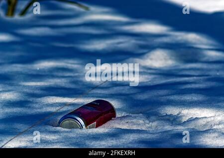 Im Winter liegt im Schnee ein Glas Bier aus Aluminium Stockfoto