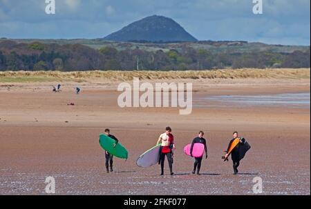 Belhaven Bay, East Lothian, Schottland Wetter in Großbritannien. Mai 2021. Vier junge Surfer gehen den Sandstrand mit Berwick Law im Hintergrund hinauf, sonniger Nachmittag, Temperatur 9 Grad Celsius. Quelle: Arch White/Alamy Live News. Stockfoto